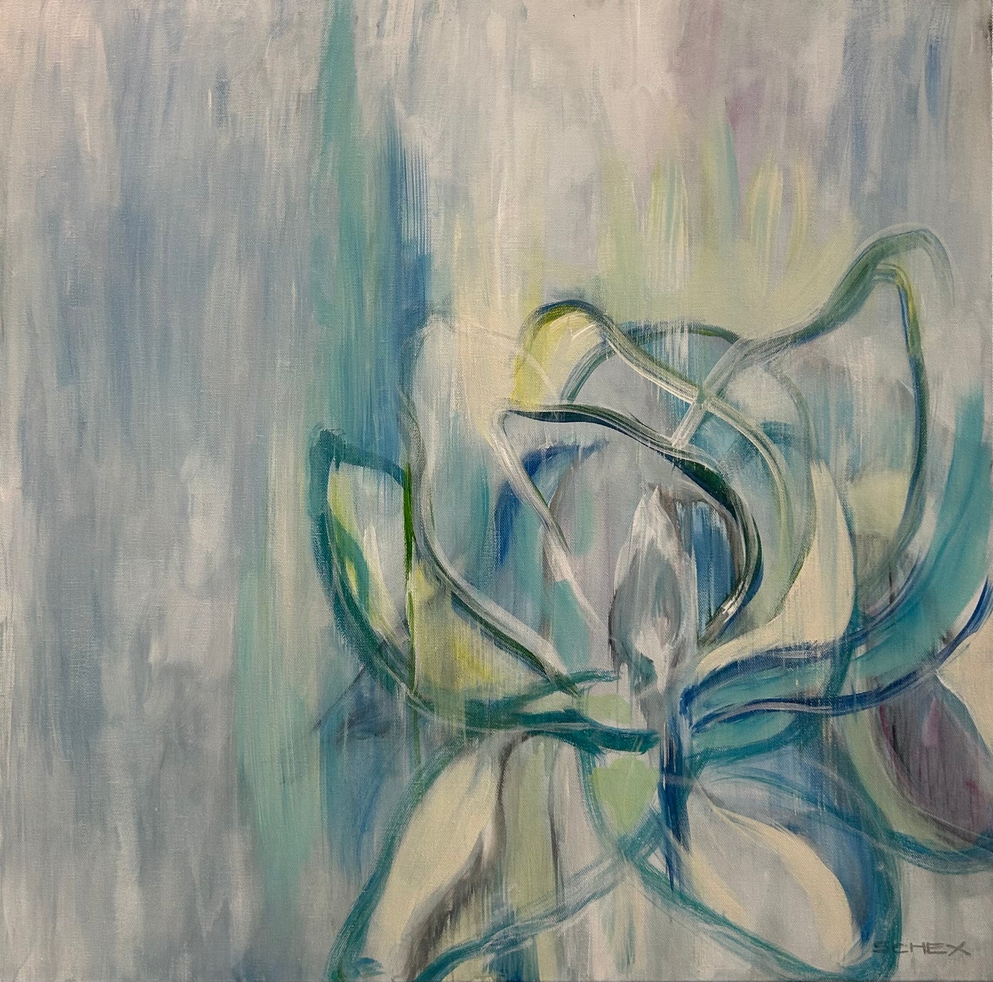 Magnolia shape and form