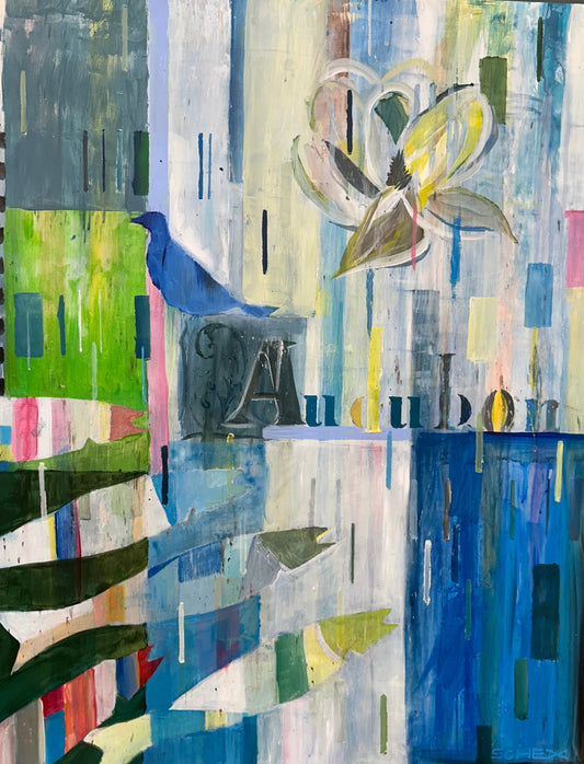 Audubon-NOLA Notes series